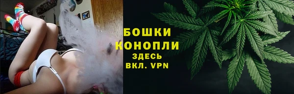 spice Покачи