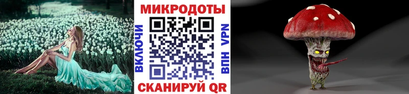 Псилоцибиновые грибы мицелий  купить закладку  Татарск 
